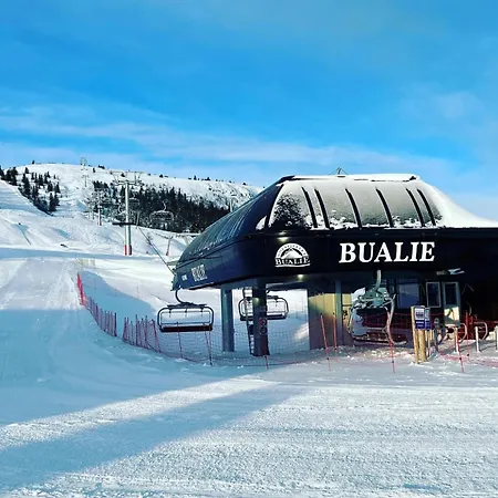 Bualie Golsfjellet * Gol