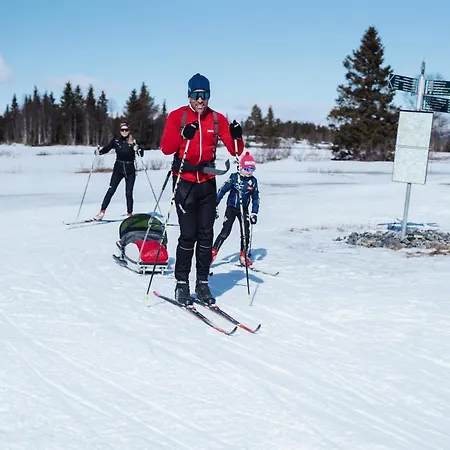 Lägenhet Bualie Golsfjellet *
