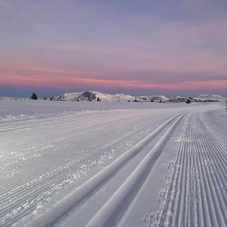 Bualie Appartement Gol