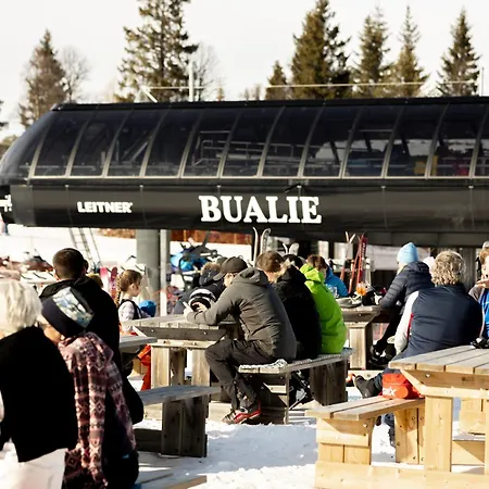 Bualie Golsfjellet Gol