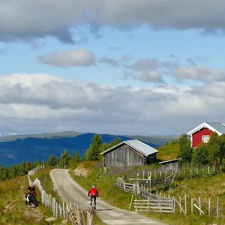 Lägenhet Bualie Golsfjellet Gol