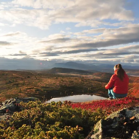 Bualie Golsfjellet