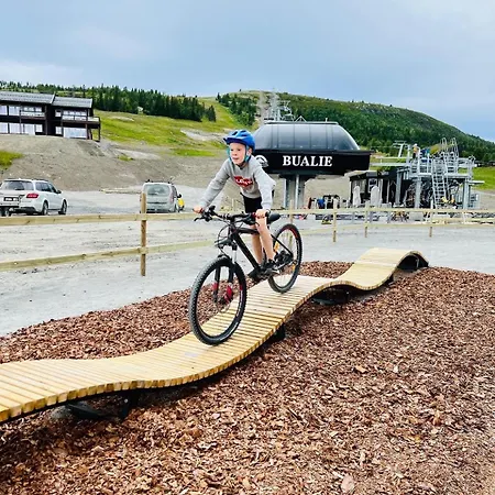 Bualie Golsfjellet