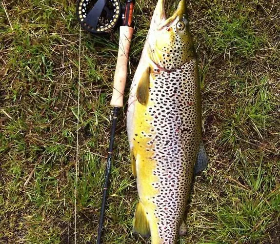 Bualie Golsfjellet 아파트 골