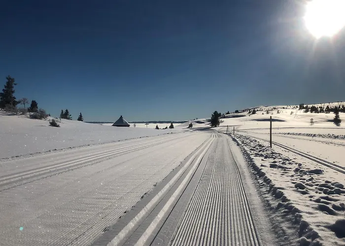 아파트 Bualie Golsfjellet 골