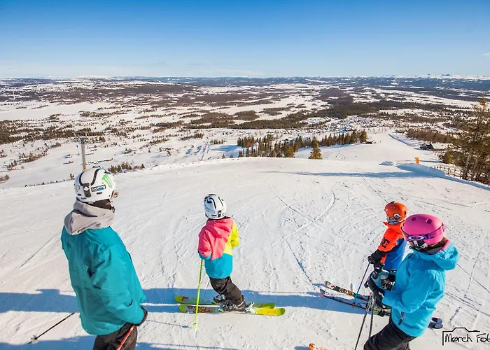Bualie Golsfjellet 아파트 *