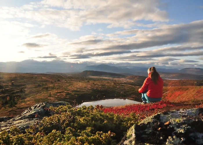 Bualie Golsfjellet
