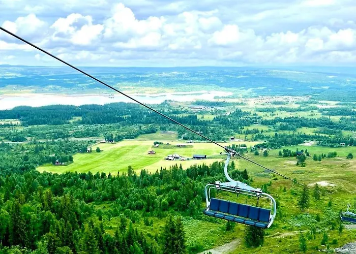Bualie Golsfjellet 골