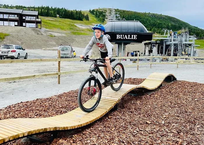 Bualie Golsfjellet